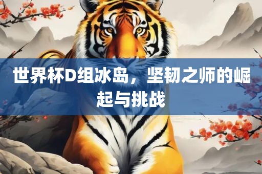 世界杯D组冰岛，坚韧之师的崛起与挑战