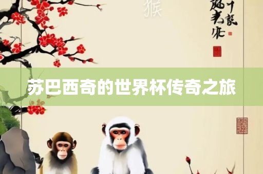 苏巴西奇的世界杯传奇之旅