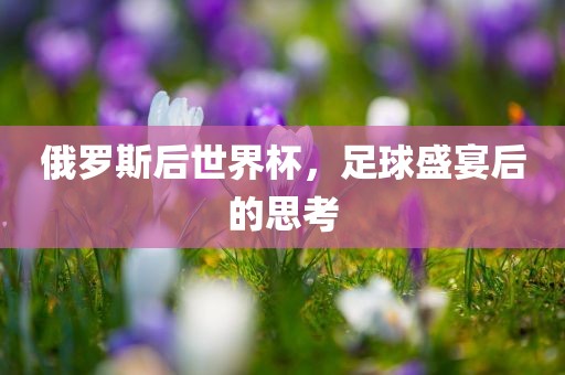 俄罗斯后世界杯，足球盛宴后的思考漯河市盈旭机械设备有限公司