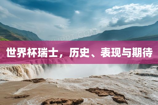 世界杯瑞士，漯河市盈旭机械设备有限公司历史、表现与期待