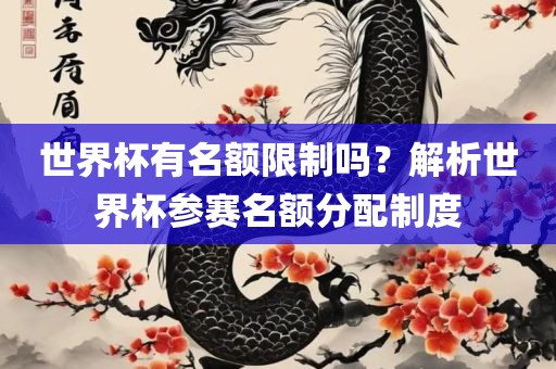 世界杯有名额限制吗？解析世界杯参赛名额分配制度
