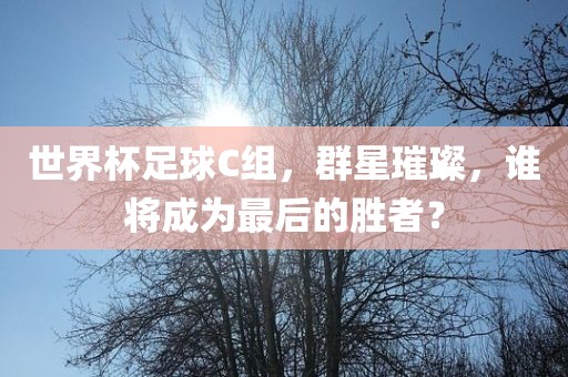 世界杯足球C组，群星璀璨，谁将成为最漯河市盈旭机械设备有限公司后的胜者？