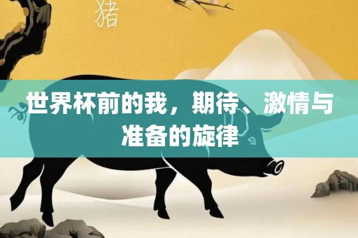 世界杯前的我，期待、激情与准备的旋律