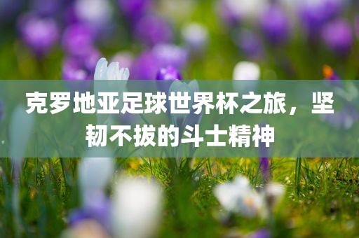 克罗地亚足球世界杯之旅，坚韧不拔的斗士精神