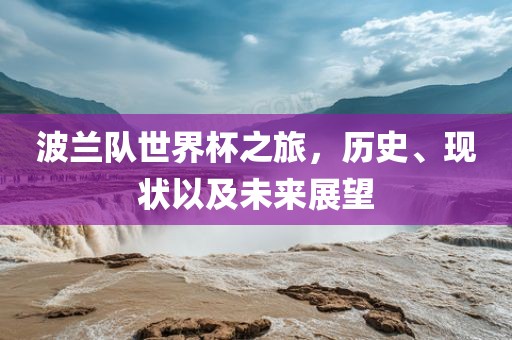 波兰队世界杯之旅，历史、现状以及未来展望