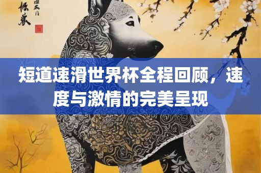 短道速滑世界杯全程回顾，速度与激情的完美呈现