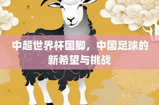中超世界杯国脚，中国足球的新希望与挑战漯河市盈旭机械设备有限公司