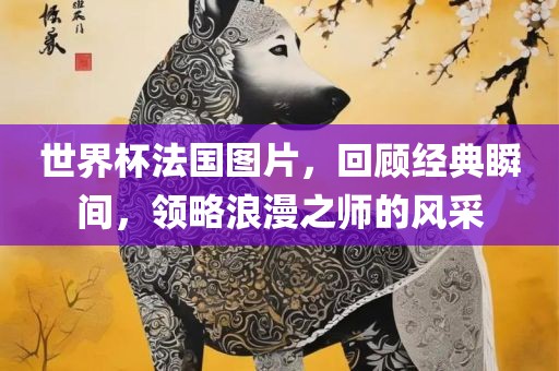 世界杯法国图片，回顾经典瞬间，领略浪漫之师的风采