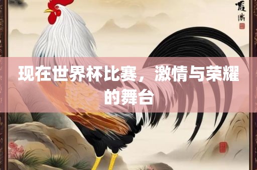 现在世界杯比赛，激情与荣耀的舞台