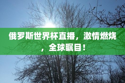 俄罗斯世界杯直播，激情燃烧，全球瞩目！