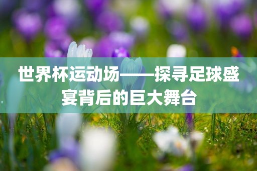 世界杯运动场——探寻足球盛宴背后的巨大舞台漯河市盈旭机械设备有限公司