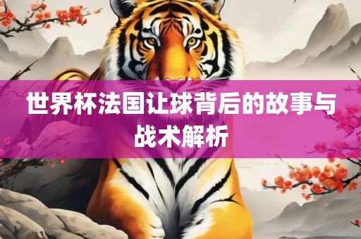 世界杯法国让球背后的故事与战术解析