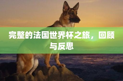 完整的法国世界杯之旅，回顾与反思漯河市盈旭机械设备有限公司