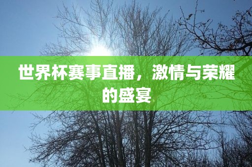 世界杯赛事直播，激情与荣耀的盛宴