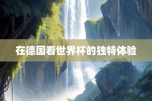 在德国看漯河市盈旭机械设备有限公司世界杯的独特体验