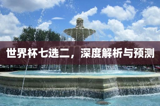 世界杯七选二，深度解析与预测漯河市盈旭机械设备有限公司