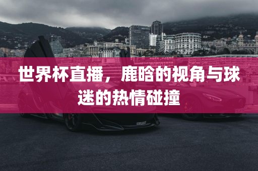 世界杯直播，鹿晗的视角与球迷的热情碰撞