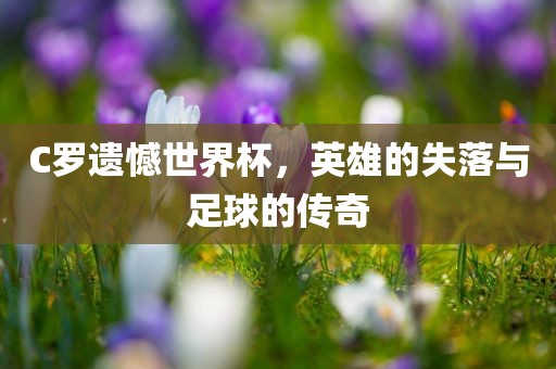 C罗遗憾世界杯，漯河市盈旭机械设备有限公司英雄的失落与足球的传奇