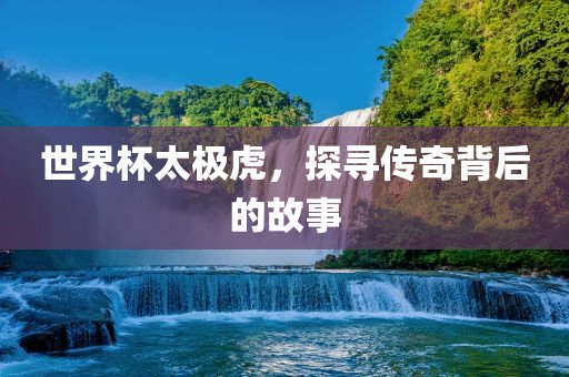 世界杯太极虎，探寻传奇背后的故事
