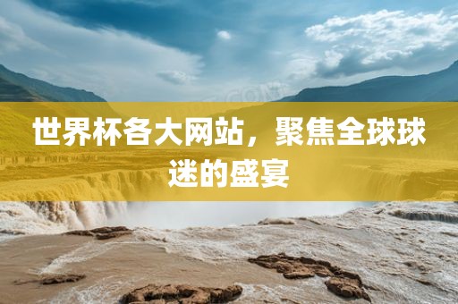 世界杯各大网站，聚焦全球球迷的盛宴