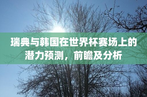 瑞典与韩国在世界杯赛场上的潜力预测，前瞻及分析
