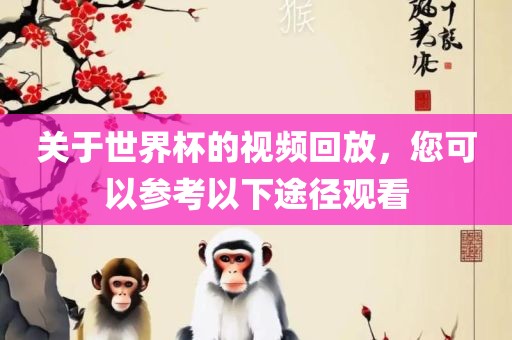 关于世界杯的视频回放，您可以参考以下途径观看