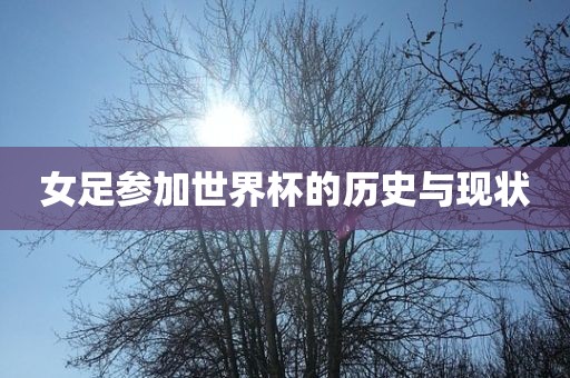 女足参加世界杯的历史与现状漯河市盈旭机械设备有限公司