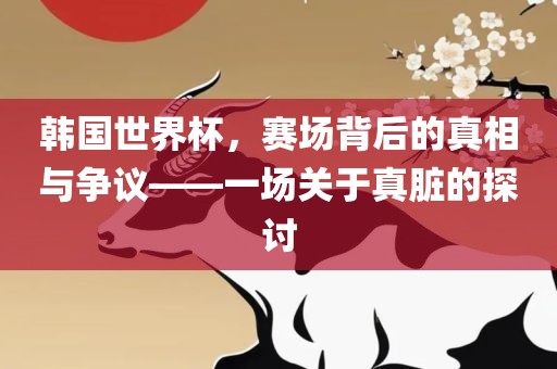 韩国世界杯，赛场背后的真相与争议——一场关于真脏的探讨