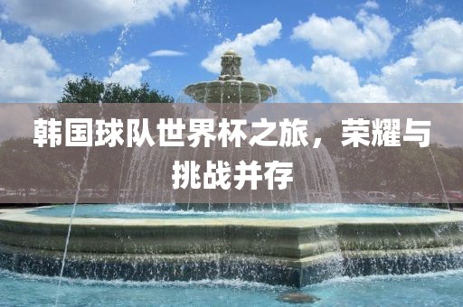 韩国球队世界杯之旅，荣耀与挑战并存