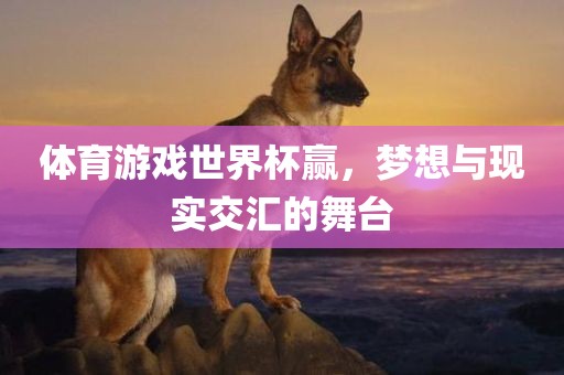 体育游戏世界杯赢，梦想与现实交汇的舞台