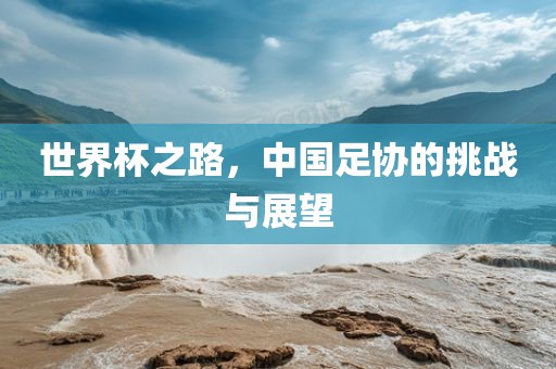 世界杯之路，中国足协的挑战与展望