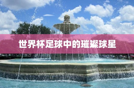 世界杯足球中的璀璨球星