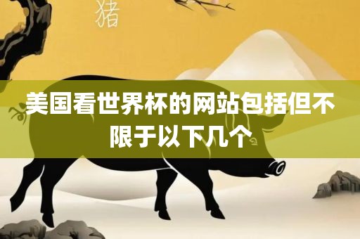 美国看世界杯的网站包括但不限于以下几个