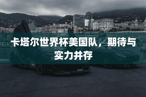 卡塔尔世界杯美国队，期待与实力并存