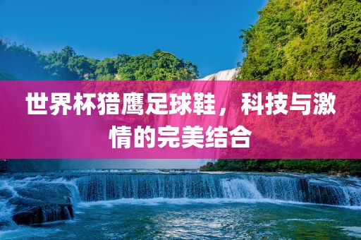 世界杯猎鹰足球鞋，科技与激情的完美结合漯河市盈旭机械设备有限公司