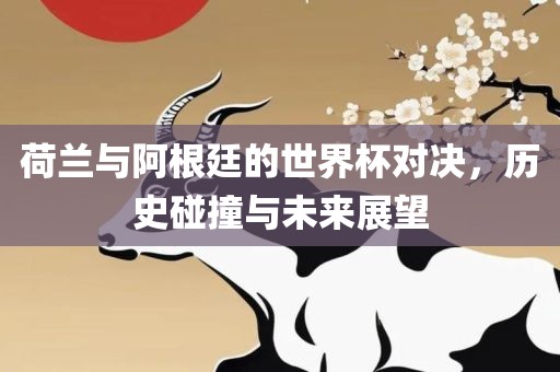 荷兰与阿根廷的世界杯对决，历史碰撞与未来展望