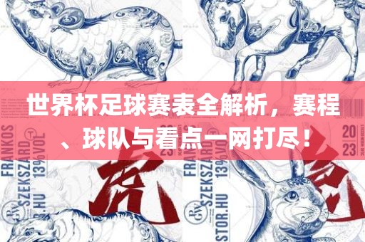 世界杯足球赛表全解析，赛程、球队与看点一网打尽！