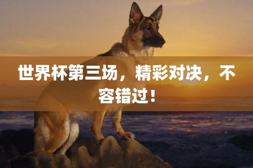 世界杯第三场，精彩对决，不容错过！