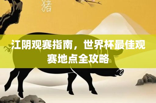 江阴观赛指南，世界杯最佳观赛地点全攻略漯河市盈旭机械设备有限公司