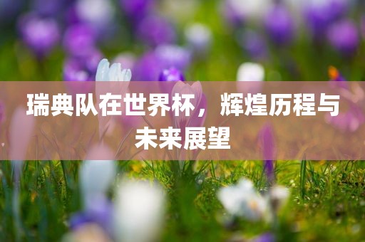 瑞典队在世界杯，辉煌历程与未来展望漯河市盈旭机械设备有限公司