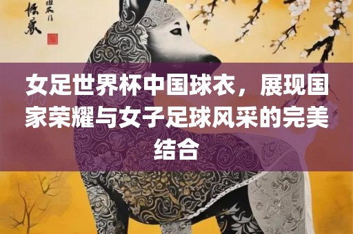 女足世界杯中国球衣，展现国家荣耀与女子足球风采的完美结合