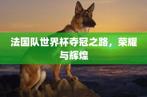 法国队世界杯夺冠之路，荣耀与辉煌