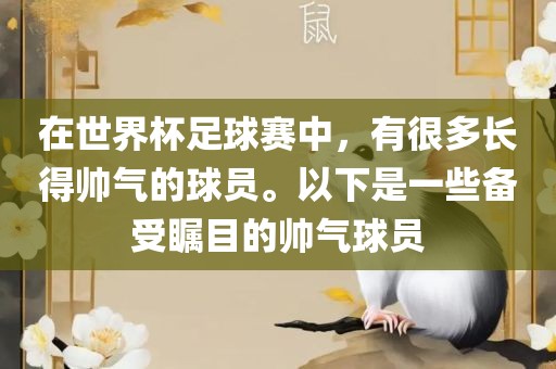 漯河市盈旭机械设备有限公司在世界杯足球赛中，有很多长得帅气的球员。以下是一些备受瞩目的帅气球员