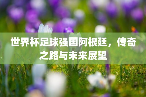 世界杯足球强国阿根廷，传奇之路与未来展望