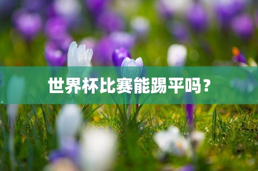 世界杯比赛能踢平吗？