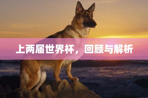 上两届世界杯，回顾与解析