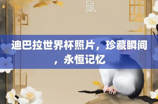 迪巴拉世界杯照片，珍藏瞬间，永恒记忆