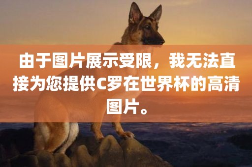 由于图片展示受限，我无法直接为您提供C罗在世界杯的高清图片。