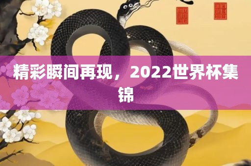 精彩瞬间再现，2022世界杯集漯河市盈旭机械设备有限公司锦