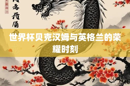 世界杯贝克汉姆与英格兰的荣耀时刻